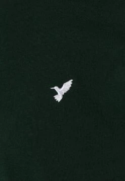 Pier One 5 Pack - Camiseta Básica - White/Ark Green/Blue 21 Pier One 5 Pack - Camiseta Básica - White/Ark Green/Blue -Pier One Tienda de ventas 19822f95d4c243b5a7cfa8d503e23581