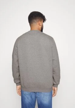 Pier One Sudadera - Grey 10 Pier One Sudadera - Grey -Pier One Tienda de ventas c564088c3a73467da691477ad379a634