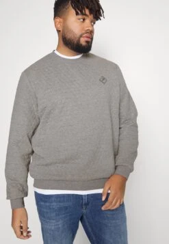 Pier One Sudadera - Grey 11 Pier One Sudadera - Grey -Pier One Tienda de ventas cf49486252674b43a74ae61d47433558